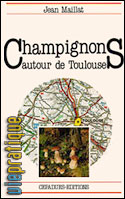 Champignons autour de Toulouse