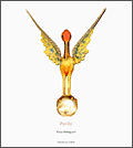 Perle - Malaguzzi Silvia - Perles histoire
